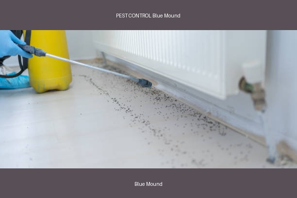 PEST CONTROL Blue Mound
